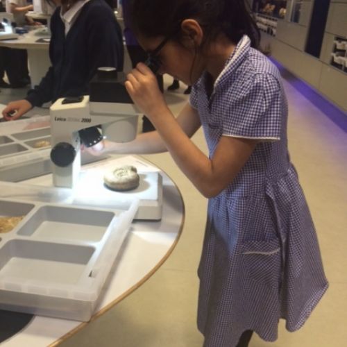 Natural history museum